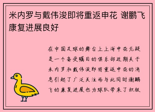 米内罗与戴伟浚即将重返申花 谢鹏飞康复进展良好